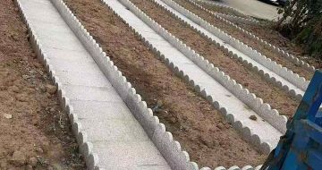 长沙芝麻白花边石